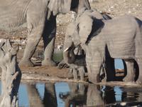 Tage Rundreise Namibia – Die Erlebnistour mit  Kalahari – Fish River-Canyon – Lüderitz – Namib – Swakopmund – Erongo Gebirge – Etosha Nationalpark – Windhoek (1320)