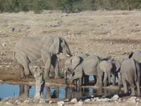 Tage Rundreise Namibia – Die Erlebnistour mit  Kalahari – Fish River-Canyon – Lüderitz – Namib – Swakopmund – Erongo Gebirge – Etosha Nationalpark – Windhoek (1321)