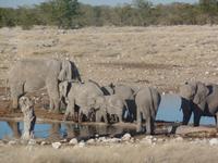 Tage Rundreise Namibia – Die Erlebnistour mit  Kalahari – Fish River-Canyon – Lüderitz – Namib – Swakopmund – Erongo Gebirge – Etosha Nationalpark – Windhoek (1327)