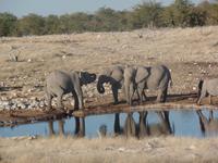 Tage Rundreise Namibia – Die Erlebnistour mit  Kalahari – Fish River-Canyon – Lüderitz – Namib – Swakopmund – Erongo Gebirge – Etosha Nationalpark – Windhoek (1328)