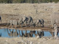 Tage Rundreise Namibia – Die Erlebnistour mit  Kalahari – Fish River-Canyon – Lüderitz – Namib – Swakopmund – Erongo Gebirge – Etosha Nationalpark – Windhoek (1329)