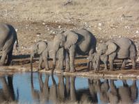 Tage Rundreise Namibia – Die Erlebnistour mit  Kalahari – Fish River-Canyon – Lüderitz – Namib – Swakopmund – Erongo Gebirge – Etosha Nationalpark – Windhoek (1330)
