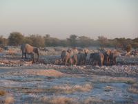 Tage Rundreise Namibia – Die Erlebnistour mit  Kalahari – Fish River-Canyon – Lüderitz – Namib – Swakopmund – Erongo Gebirge – Etosha Nationalpark – Windhoek (1333)