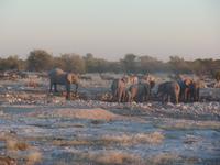 Tage Rundreise Namibia – Die Erlebnistour mit  Kalahari – Fish River-Canyon – Lüderitz – Namib – Swakopmund – Erongo Gebirge – Etosha Nationalpark – Windhoek (1334)