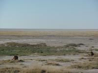 Tage Rundreise Namibia – Die Erlebnistour mit  Kalahari – Fish River-Canyon – Lüderitz – Namib – Swakopmund – Erongo Gebirge – Etosha Nationalpark – Windhoek (1359)