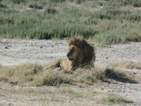 Tage Rundreise Namibia – Die Erlebnistour mit  Kalahari – Fish River-Canyon – Lüderitz – Namib – Swakopmund – Erongo Gebirge – Etosha Nationalpark – Windhoek (1361)