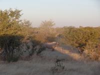 Tage Rundreise Namibia – Die Erlebnistour mit  Kalahari – Fish River-Canyon – Lüderitz – Namib – Swakopmund – Erongo Gebirge – Etosha Nationalpark – Windhoek (1386)