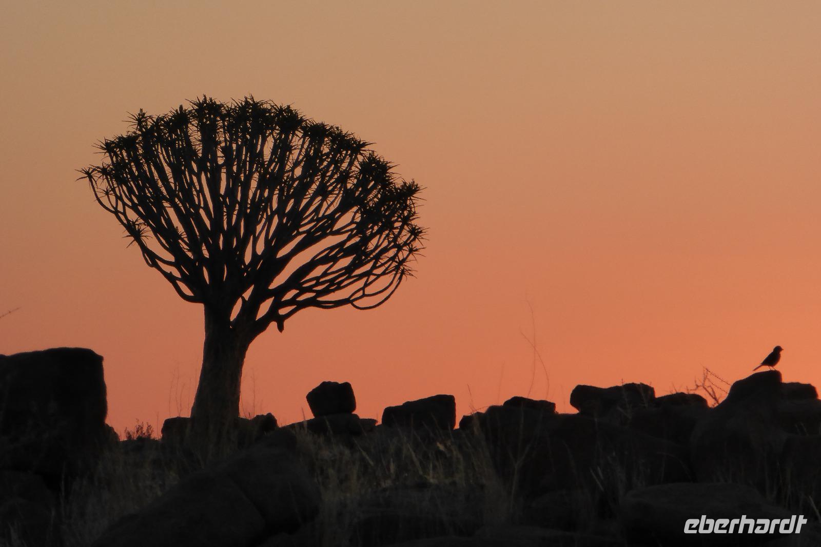 Tage Rundreise Namibia – Die Erlebnistour mit  Kalahari – Fish River-Canyon – Lüderitz – Namib – Swakopmund – Erongo Gebirge – Etosha Nationalpark – Windhoek (1391)