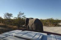 Tage Rundreise Namibia – Die Erlebnistour mit  Kalahari – Fish River-Canyon – Lüderitz – Namib – Swakopmund – Erongo Gebirge – Etosha Nationalpark – Windhoek (1393)