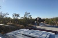 Tage Rundreise Namibia – Die Erlebnistour mit  Kalahari – Fish River-Canyon – Lüderitz – Namib – Swakopmund – Erongo Gebirge – Etosha Nationalpark – Windhoek (1394)