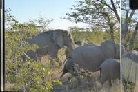 Tage Rundreise Namibia – Die Erlebnistour mit  Kalahari – Fish River-Canyon – Lüderitz – Namib – Swakopmund – Erongo Gebirge – Etosha Nationalpark – Windhoek (1401)