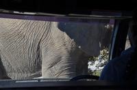 Tage Rundreise Namibia – Die Erlebnistour mit  Kalahari – Fish River-Canyon – Lüderitz – Namib – Swakopmund – Erongo Gebirge – Etosha Nationalpark – Windhoek (1403)