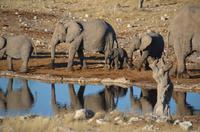 Tage Rundreise Namibia – Die Erlebnistour mit  Kalahari – Fish River-Canyon – Lüderitz – Namib – Swakopmund – Erongo Gebirge – Etosha Nationalpark – Windhoek (1405)