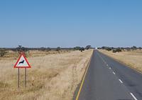 Tage Rundreise Namibia – Die Erlebnistour mit  Kalahari – Fish River-Canyon – Lüderitz – Namib – Swakopmund – Erongo Gebirge – Etosha Nationalpark – Windhoek (1448)