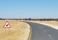 Tage Rundreise Namibia – Die Erlebnistour mit  Kalahari – Fish River-Canyon – Lüderitz – Namib – Swakopmund – Erongo Gebirge – Etosha Nationalpark – Windhoek (1449)