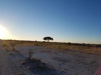 Tage Rundreise Namibia – Die Erlebnistour mit  Kalahari – Fish River-Canyon – Lüderitz – Namib – Swakopmund – Erongo Gebirge – Etosha Nationalpark – Windhoek (1453)