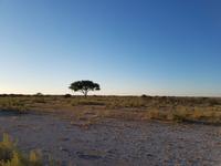 Tage Rundreise Namibia – Die Erlebnistour mit  Kalahari – Fish River-Canyon – Lüderitz – Namib – Swakopmund – Erongo Gebirge – Etosha Nationalpark – Windhoek (1454)
