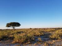 Tage Rundreise Namibia – Die Erlebnistour mit  Kalahari – Fish River-Canyon – Lüderitz – Namib – Swakopmund – Erongo Gebirge – Etosha Nationalpark – Windhoek (1455)