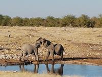 Tage Rundreise Namibia – Die Erlebnistour mit  Kalahari – Fish River-Canyon – Lüderitz – Namib – Swakopmund – Erongo Gebirge – Etosha Nationalpark – Windhoek (1459)
