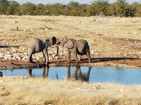 Tage Rundreise Namibia – Die Erlebnistour mit  Kalahari – Fish River-Canyon – Lüderitz – Namib – Swakopmund – Erongo Gebirge – Etosha Nationalpark – Windhoek (1461)