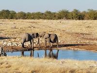 Tage Rundreise Namibia – Die Erlebnistour mit  Kalahari – Fish River-Canyon – Lüderitz – Namib – Swakopmund – Erongo Gebirge – Etosha Nationalpark – Windhoek (1462)