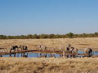 Tage Rundreise Namibia – Die Erlebnistour mit  Kalahari – Fish River-Canyon – Lüderitz – Namib – Swakopmund – Erongo Gebirge – Etosha Nationalpark – Windhoek (1463)