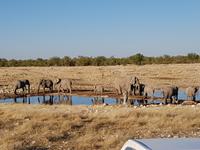 Tage Rundreise Namibia – Die Erlebnistour mit  Kalahari – Fish River-Canyon – Lüderitz – Namib – Swakopmund – Erongo Gebirge – Etosha Nationalpark – Windhoek (1464)
