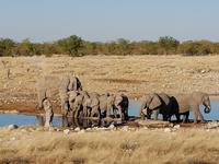 Tage Rundreise Namibia – Die Erlebnistour mit  Kalahari – Fish River-Canyon – Lüderitz – Namib – Swakopmund – Erongo Gebirge – Etosha Nationalpark – Windhoek (1470)