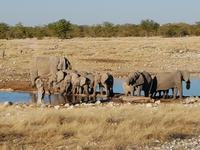 Tage Rundreise Namibia – Die Erlebnistour mit  Kalahari – Fish River-Canyon – Lüderitz – Namib – Swakopmund – Erongo Gebirge – Etosha Nationalpark – Windhoek (1471)