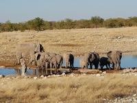 Tage Rundreise Namibia – Die Erlebnistour mit  Kalahari – Fish River-Canyon – Lüderitz – Namib – Swakopmund – Erongo Gebirge – Etosha Nationalpark – Windhoek (1472)