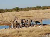 Tage Rundreise Namibia – Die Erlebnistour mit  Kalahari – Fish River-Canyon – Lüderitz – Namib – Swakopmund – Erongo Gebirge – Etosha Nationalpark – Windhoek (1473)