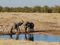 Tage Rundreise Namibia – Die Erlebnistour mit  Kalahari – Fish River-Canyon – Lüderitz – Namib – Swakopmund – Erongo Gebirge – Etosha Nationalpark – Windhoek (1474)