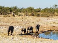 Tage Rundreise Namibia – Die Erlebnistour mit  Kalahari – Fish River-Canyon – Lüderitz – Namib – Swakopmund – Erongo Gebirge – Etosha Nationalpark – Windhoek (1479)