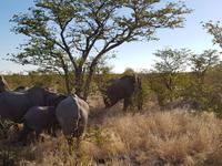 Tage Rundreise Namibia – Die Erlebnistour mit  Kalahari – Fish River-Canyon – Lüderitz – Namib – Swakopmund – Erongo Gebirge – Etosha Nationalpark – Windhoek (1480)