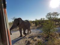 Tage Rundreise Namibia – Die Erlebnistour mit  Kalahari – Fish River-Canyon – Lüderitz – Namib – Swakopmund – Erongo Gebirge – Etosha Nationalpark – Windhoek (1482)