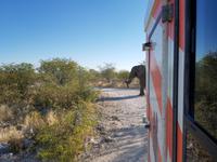 Tage Rundreise Namibia – Die Erlebnistour mit  Kalahari – Fish River-Canyon – Lüderitz – Namib – Swakopmund – Erongo Gebirge – Etosha Nationalpark – Windhoek (1485)