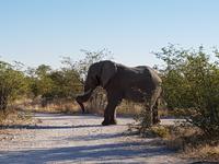 Tage Rundreise Namibia – Die Erlebnistour mit  Kalahari – Fish River-Canyon – Lüderitz – Namib – Swakopmund – Erongo Gebirge – Etosha Nationalpark – Windhoek (1487)