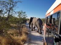 Tage Rundreise Namibia – Die Erlebnistour mit  Kalahari – Fish River-Canyon – Lüderitz – Namib – Swakopmund – Erongo Gebirge – Etosha Nationalpark – Windhoek (1490)