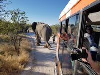 Tage Rundreise Namibia – Die Erlebnistour mit  Kalahari – Fish River-Canyon – Lüderitz – Namib – Swakopmund – Erongo Gebirge – Etosha Nationalpark – Windhoek (1491)