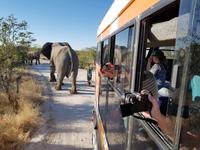 Tage Rundreise Namibia – Die Erlebnistour mit  Kalahari – Fish River-Canyon – Lüderitz – Namib – Swakopmund – Erongo Gebirge – Etosha Nationalpark – Windhoek (1492)