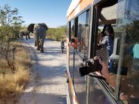 Tage Rundreise Namibia – Die Erlebnistour mit  Kalahari – Fish River-Canyon – Lüderitz – Namib – Swakopmund – Erongo Gebirge – Etosha Nationalpark – Windhoek (1493)