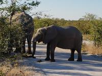 Tage Rundreise Namibia – Die Erlebnistour mit  Kalahari – Fish River-Canyon – Lüderitz – Namib – Swakopmund – Erongo Gebirge – Etosha Nationalpark – Windhoek (1494)
