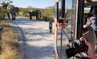 Tage Rundreise Namibia – Die Erlebnistour mit  Kalahari – Fish River-Canyon – Lüderitz – Namib – Swakopmund – Erongo Gebirge – Etosha Nationalpark – Windhoek (1496)