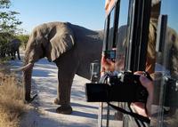 Tage Rundreise Namibia – Die Erlebnistour mit  Kalahari – Fish River-Canyon – Lüderitz – Namib – Swakopmund – Erongo Gebirge – Etosha Nationalpark – Windhoek (1497)