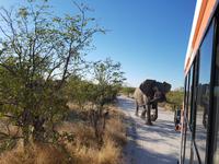Tage Rundreise Namibia – Die Erlebnistour mit  Kalahari – Fish River-Canyon – Lüderitz – Namib – Swakopmund – Erongo Gebirge – Etosha Nationalpark – Windhoek (1502)