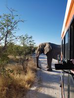 Tage Rundreise Namibia – Die Erlebnistour mit  Kalahari – Fish River-Canyon – Lüderitz – Namib – Swakopmund – Erongo Gebirge – Etosha Nationalpark – Windhoek (1503)