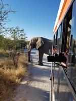 Tage Rundreise Namibia – Die Erlebnistour mit  Kalahari – Fish River-Canyon – Lüderitz – Namib – Swakopmund – Erongo Gebirge – Etosha Nationalpark – Windhoek (1504)