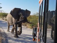 Tage Rundreise Namibia – Die Erlebnistour mit  Kalahari – Fish River-Canyon – Lüderitz – Namib – Swakopmund – Erongo Gebirge – Etosha Nationalpark – Windhoek (1506)