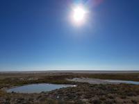 Tage Rundreise Namibia – Die Erlebnistour mit  Kalahari – Fish River-Canyon – Lüderitz – Namib – Swakopmund – Erongo Gebirge – Etosha Nationalpark – Windhoek (1512)