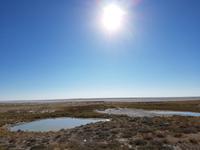 Tage Rundreise Namibia – Die Erlebnistour mit  Kalahari – Fish River-Canyon – Lüderitz – Namib – Swakopmund – Erongo Gebirge – Etosha Nationalpark – Windhoek (1513)